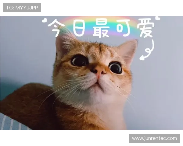 娉㈠皵鏈€鍚庝竴鑸烇紒濂ユ伆娲涘か娉埆鑰佸ぇ鍝ワ紝5000 鐞冭糠鐜板満鑷存暚浼犲